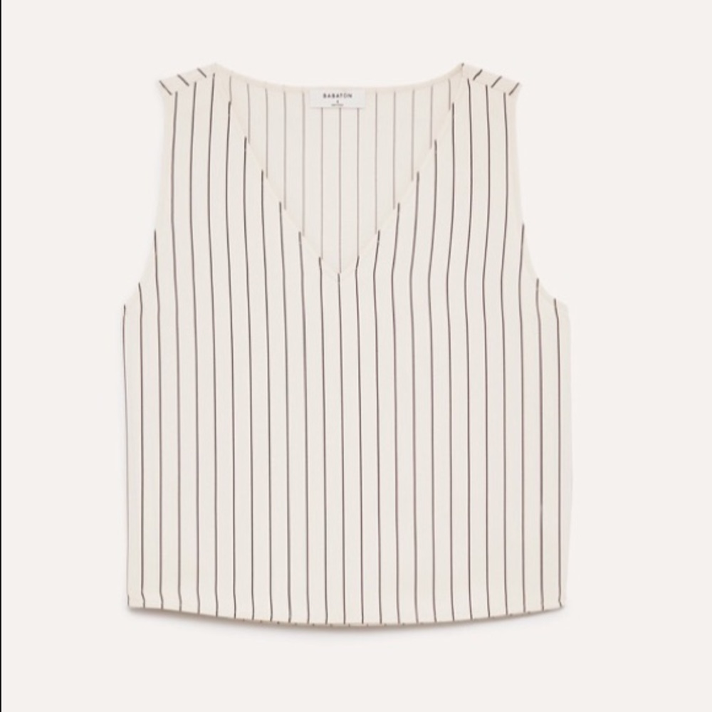 Aritzia Babaton Murphy striped blouse
